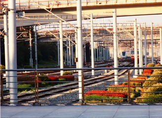 526309