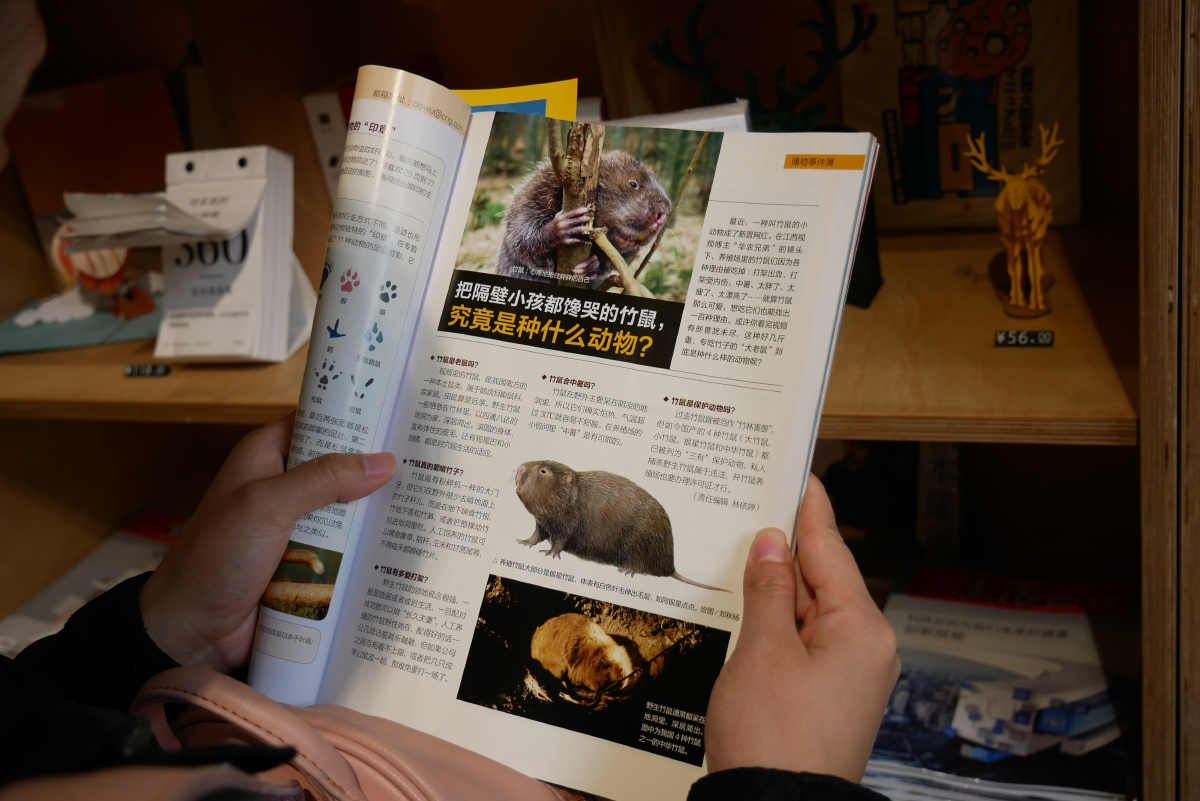 宠物猪百科,十二生肖中猪排最后被称为猪祖祖辈辈都吃猪肉