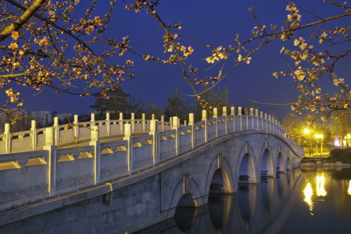 拍摄于平原琵琶湾公园