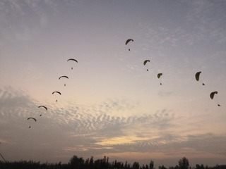 5560457
