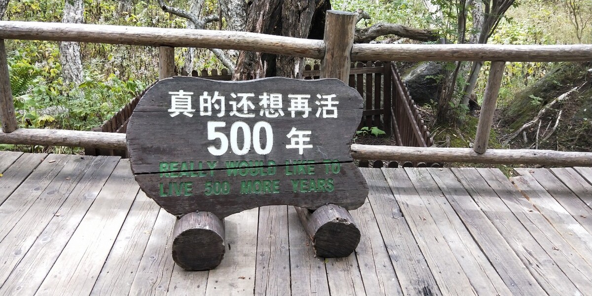 就想
