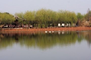 10-这不是国画-陈虞晓-13706236445(短信联系)