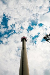 IMG_3365 