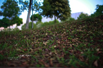 IMG_4468 