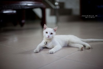 IMG_7388 副本.jpg