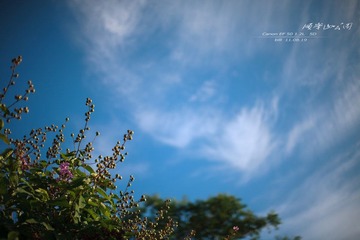 IMG_7758 副本.jpg