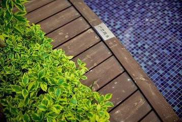 IMGP8277