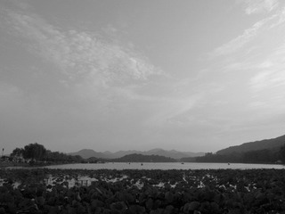 R0011285.JPG