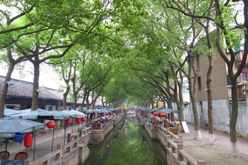 R0011769.JPG