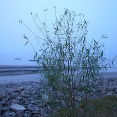 R0012737.JPG