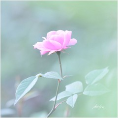 IMG_5602.JPG