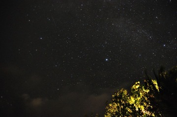 DSC_0442.jpg