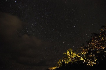 DSC_0448.jpg