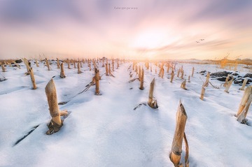 雪落