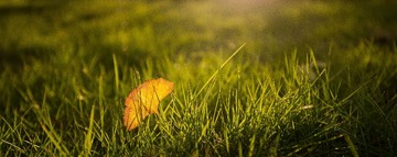 IMG_0133-6