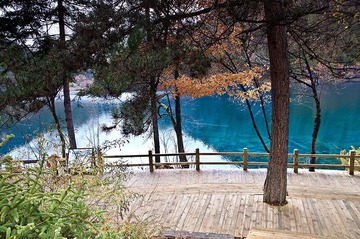 DSC_14571-r-mini.jpg
