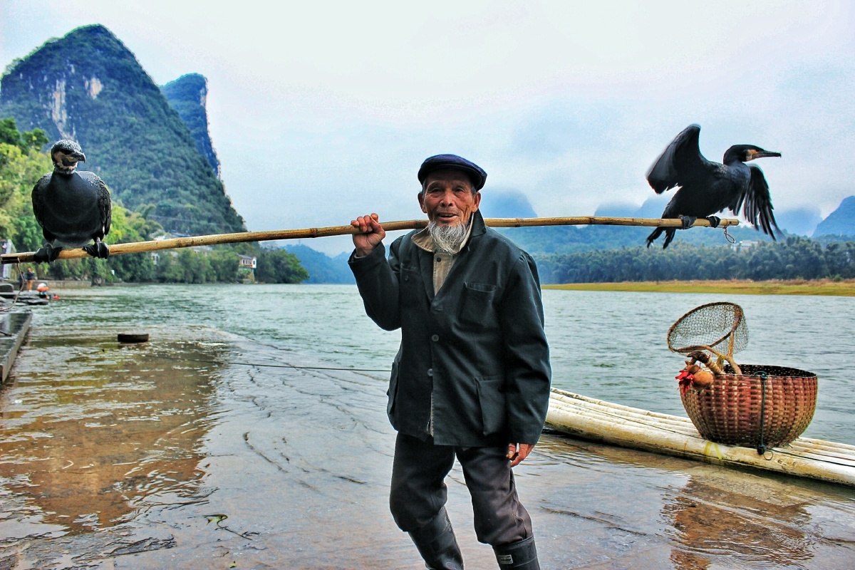 老人与鸬鹚
