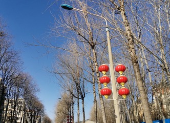 DPP_0031