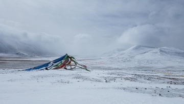 20180501_110351-20