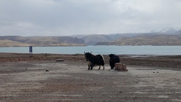 20180504_132647-83