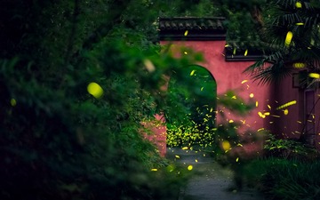 萤火