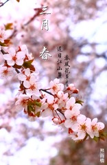 IMG_1530裁剪