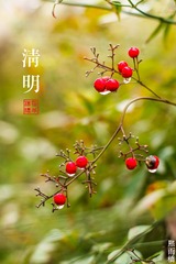 IMG_1666-1m