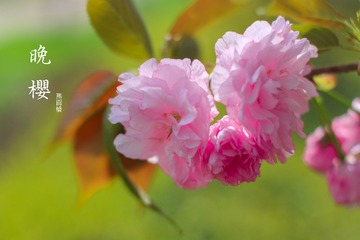 jIMG_1723-1