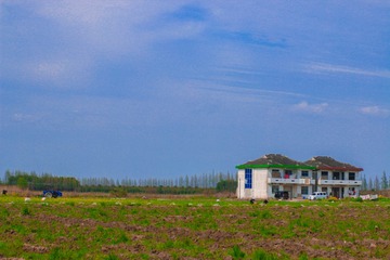 IMG_1719-1