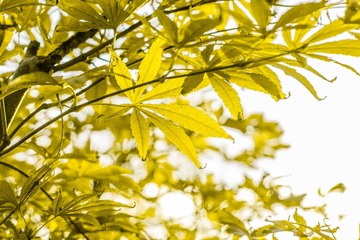 IMG_3610-1