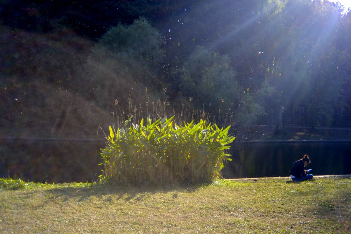 漂亮的环型光与漫射光并存