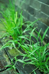 IMG_3212.jpg