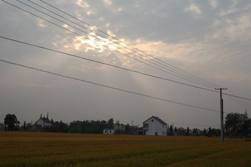 IMG_3401.JPG
