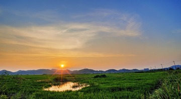 田野2