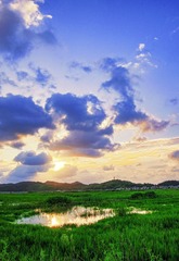 台风之前3