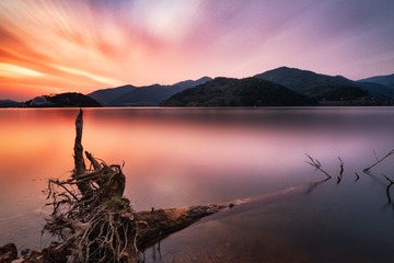 _DSC0823