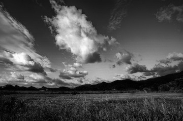 适马_DSC3493