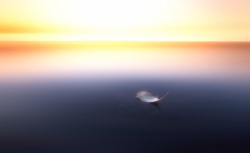_DSC1444