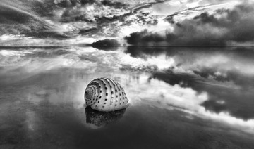 _DSC23421
