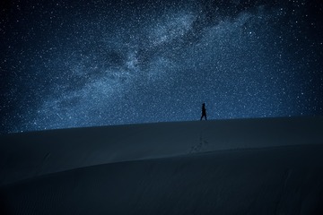 不敢高声语，恐惊天上人