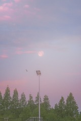 当时明月在,曾照彩云归