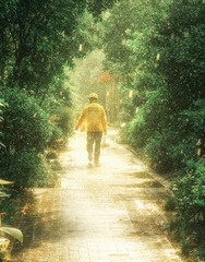 风雨无阻