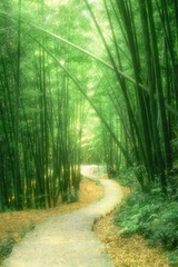 曲径通幽处