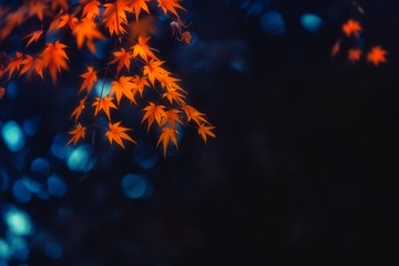 秋色