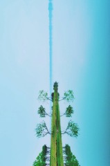 001