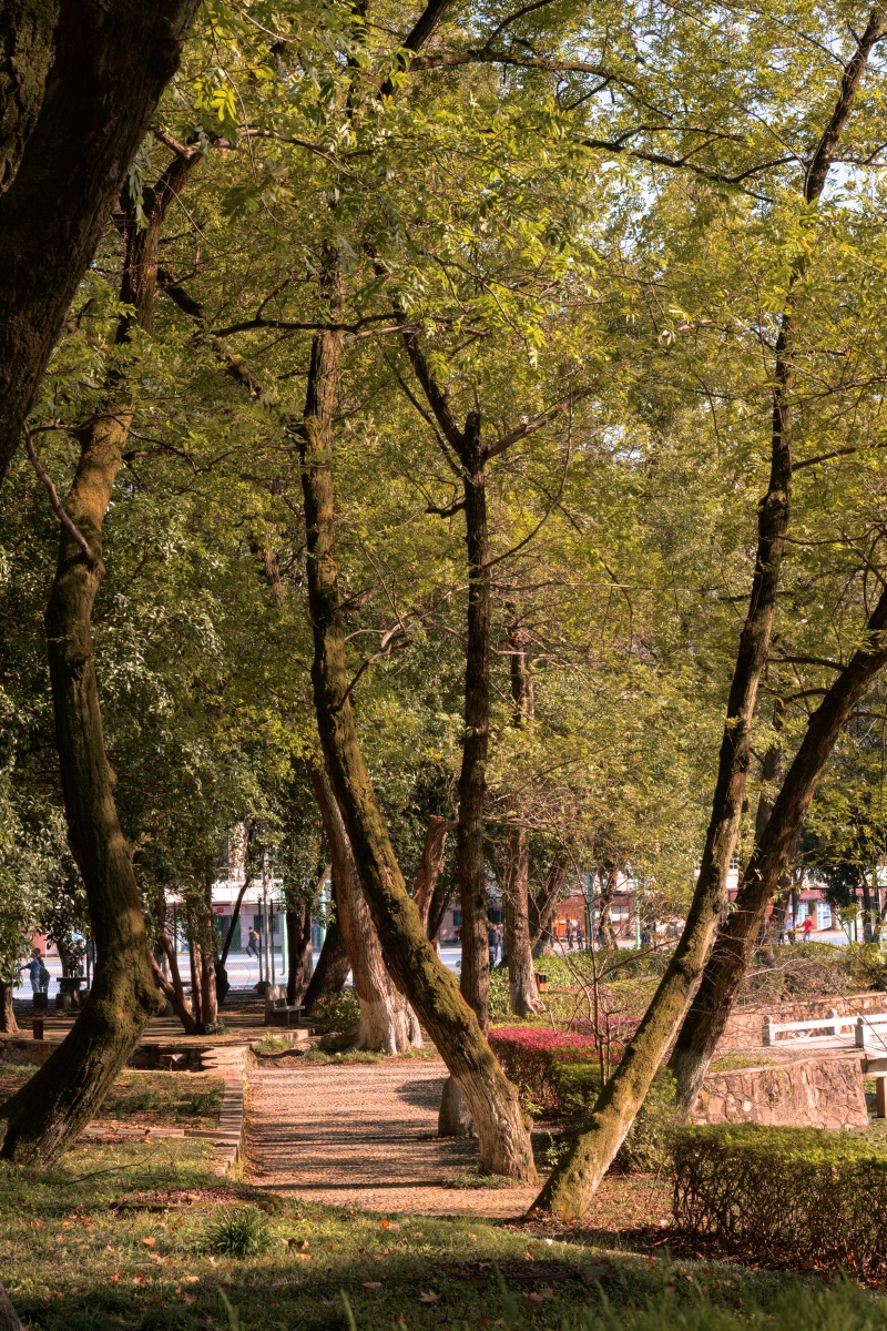 武汉洪山区喻家山下华中地区唯二的985高校华中科技大学的秋日风情