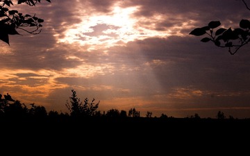 IMG_2065_