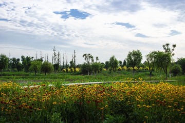 IMG_2111_