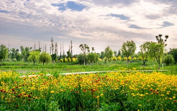 IMG_2111-2_