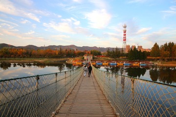 DSC07251_